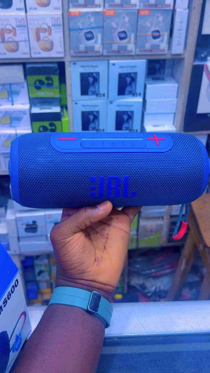Enceinte Bluetooth Style JBL Flip – Son Puissant, Design Élégant